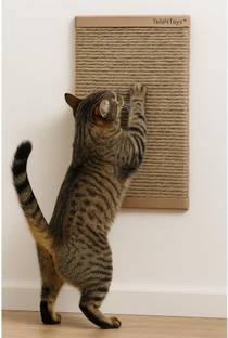 TailsNToys Cat Scratching Pad