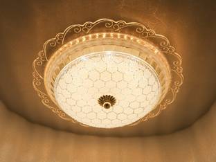 Swanart Chandelier Ceiling Lamp