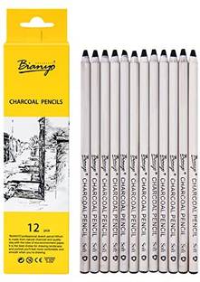 Arrolliant Natural Charcoal, Willow and Vine Charcoal Charcoal Pencils Stick
