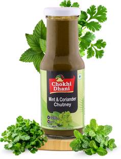Chokhi Dhani Mint & Coriander Chutney Paste