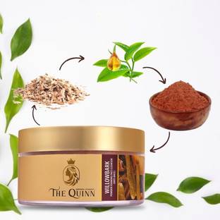 THE QUINN Willowbark Anti Acne Powder Foaming Facial Cleanser Face Wash