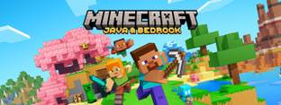 Minecraft java and bedrock standard