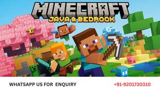 Minecraft java and bedrock STANDARD KEY