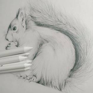 Da Novira Powdered Charcoal 2B Stick