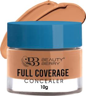 Beauty Berry Full Coverage Concealer