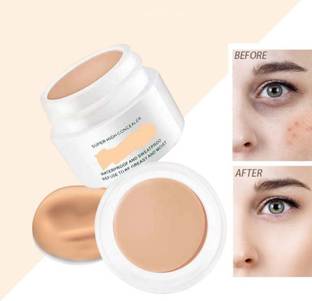 GFSU - GO FOR SOMETHING UNIQUE Suer High Water and Sweat Resistant  Concealer