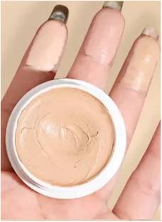 AFARAXIA Wterproof Face Concealer Cream Hide Blemish Cover Dark Circle Concealer