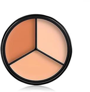 skynly 6IN1 Concealer Palette Pro Waterproof Concealer With Full Coverage Concealer