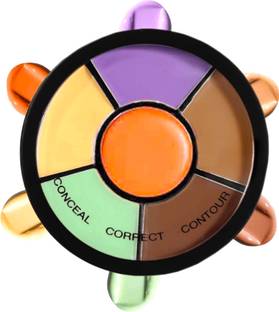 Glamway Cosmetics Pro Concealer Palette Waterproof With Full Coverage 6-IN-1 Shades  Concealer