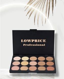 LOWPRICE PROFESSIONAL 15 Color Cream Concealer Palette Concealer 01 Concealer