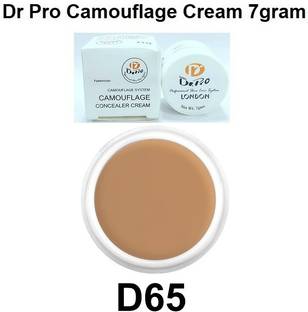 Dr Pro Camouflage Cream Concealer