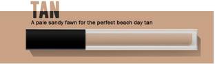 SEUNG Long Lasting, Quick Drying & Water Resistant Concealer