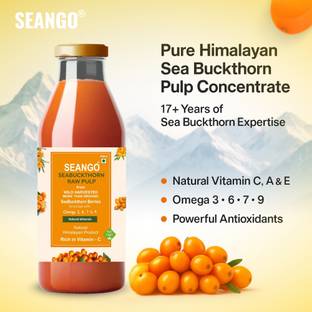 SEANGO seabuckthorn pulp 300 ml