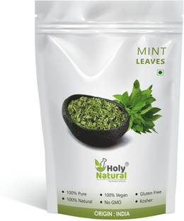 Holy Natural Mint Leaves (Dried) - 100 GM