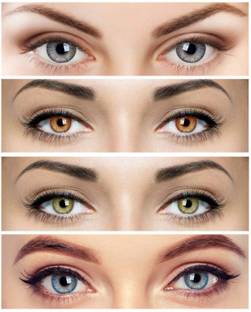 Globalead Colored Contact Lens Grey-Hazel-Honey-Aqua