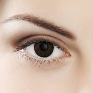 Tropical Daily Disposable