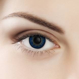 Tropical Daily Disposable