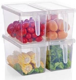 Skywhale Plastic Grocery Container  - 3000 ml