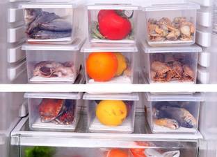 Flipkart SmartBuy Plastic Fridge Container  - 1500 ml