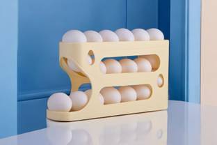 Cosy Home Make It Easy Plastic Egg Container  - 2 dozen