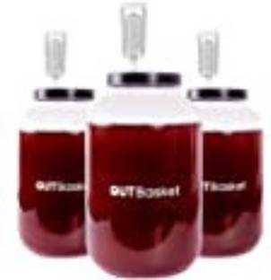 GUTBasket Glass Utility Container  - 4 L