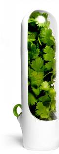 ICONICGREEN Glass Utility Container  - 100 ml