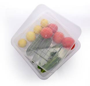 SKYLIFE Plastic Fridge Container  - 2500 ml