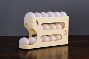 cosy make it easy Plastic Egg Container  - 2 dozen