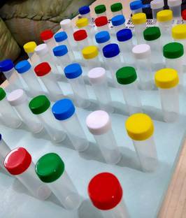 AMIGOS Plastic Utility Container  - 10 ml