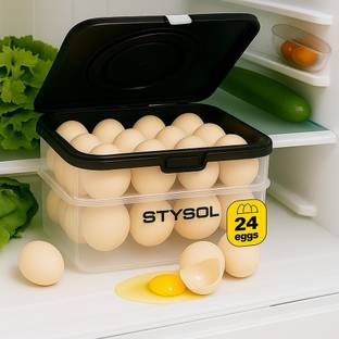 Stysol Plastic Egg Container  - 2 dozen
