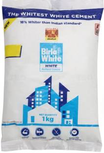 BIRLA White Cement 1Kg Crack Filler