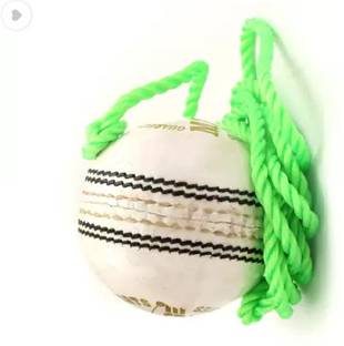 APPSS SPORTS APS Leather Cricket Hanging Ball Red_301 Standard Bail