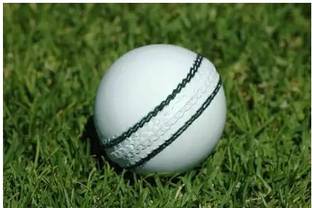APPSS SPORTS 770 Standard Bail
