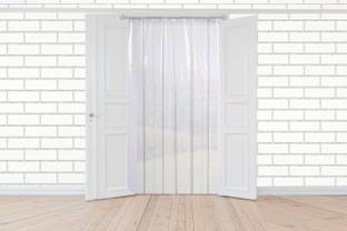 AG Creations 274 cm (9 ft) PVC Transparent Long Door Curtain (Pack Of 2)