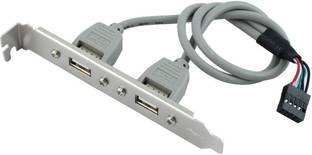 Paruht 1) 2 Port USB 2.0 Cable Converter 9 pin Motherboard Rear Panel Extension Bracket Wired USB Lan Adapter compatible with Windows, Linux, Mac, Ubuntu