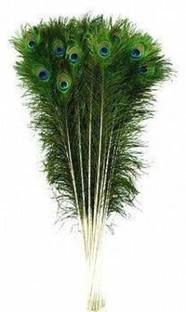 PARNAIRA Pack of 12 Decorative Feathers