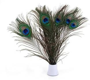 Raga Plus Pack of 15 Decorative Feathers