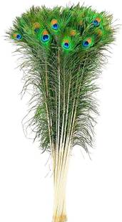 BLU VAPOUR Pack of 20 Decorative Feathers