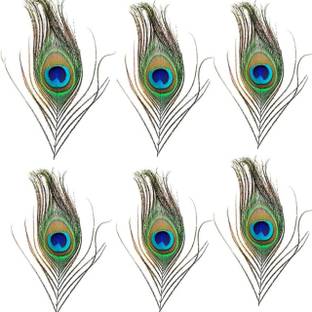 Rajmart Global Pack of 6 Decorative Feathers