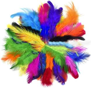 ASIAN HOBBY CRAFTS Pack of 80 Decorative Feathers