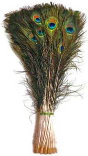 DEBALAYA Pack of 20 Decorative Feathers