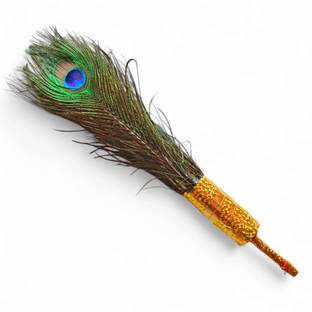 Vrindmart Pack of 5 Decorative Feathers