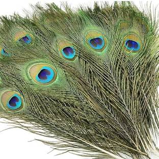 Rajmart Global Pack of 3 Decorative Feathers