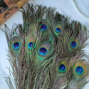 Rajmart Global Pack of 10 Decorative Feathers
