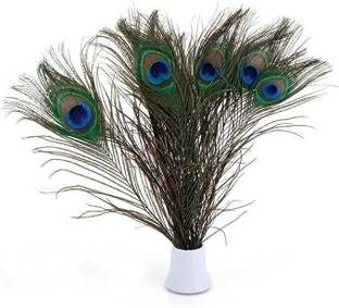 Rajmart Global Pack of 3 Decorative Feathers