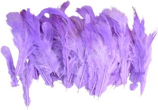 UVID ART AND CRAFT SUPPLIES Pack of 80 Decorative Feathers