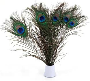 PARNAIRA Pack of 15 Decorative Feathers