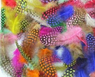 Mighty Pack of 300 Decorative Feathers