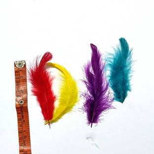 VedaX Pack of 100 Decorative Feathers