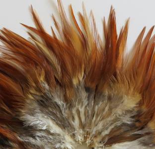 Mighty Pack of 500 Decorative Feathers